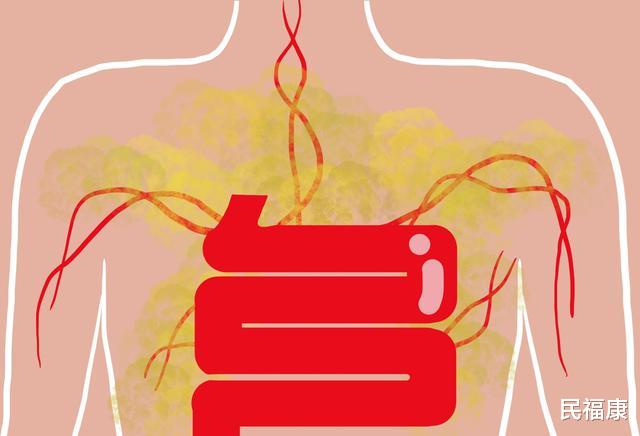 「O型血」O型血是长寿血型，O型血的人更易长寿？哪种血型的人身体最好？