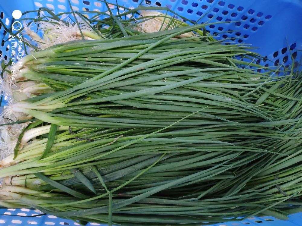 南阳|别人家孩子的学校：南阳五中八全校区餐厅曝光！