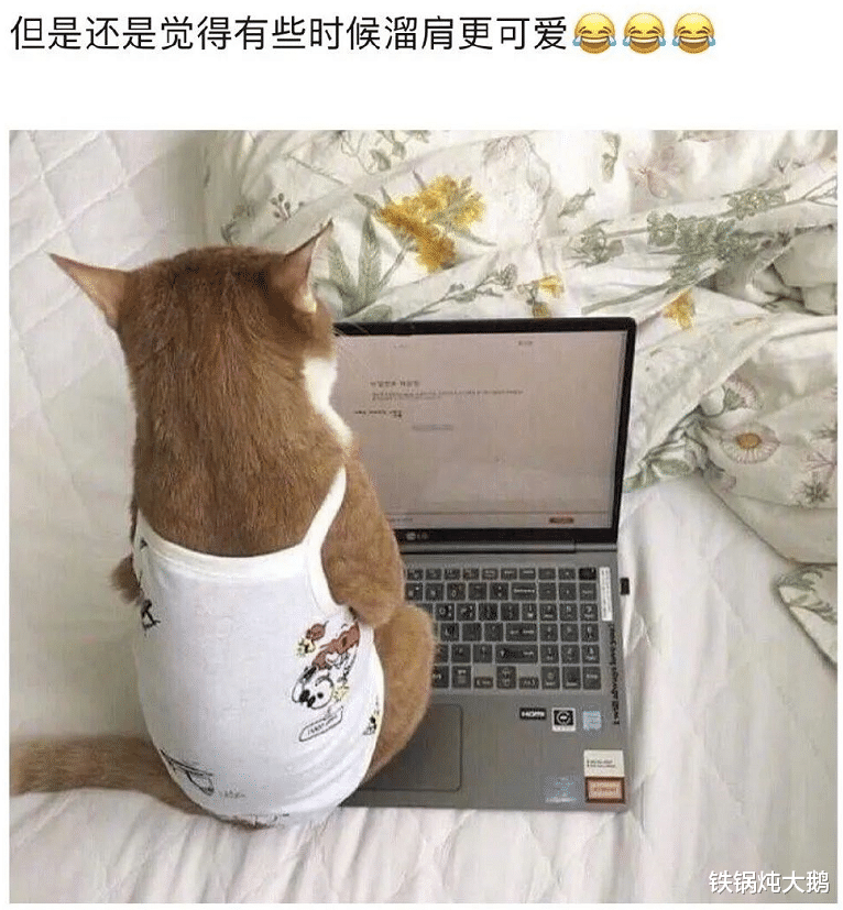 烧烤|“你认为烧烤界地位最高的素菜是什么?”求资深网友解答,哈哈哈!