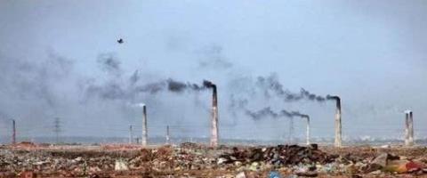 [科学家]人类“理论上”可活1000岁，剩下的900多岁到底为什么“消失了？