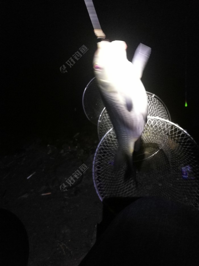 饵料|新车新鞋新头灯新配方，大鱼小鱼齐入护