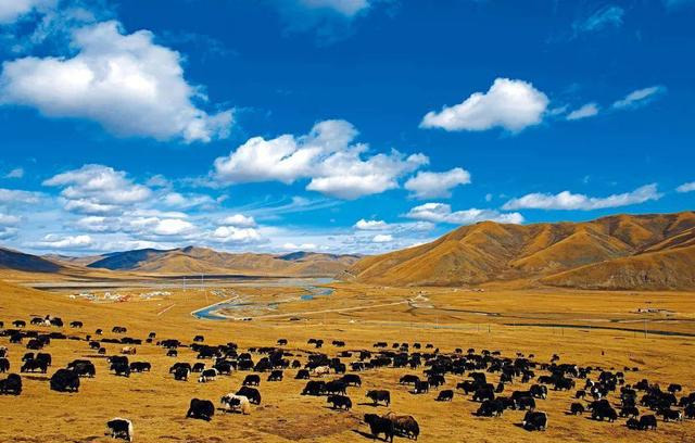 [甘南]川藏线摊上事：朋友将车停在路边草场，豪车被收费的藏民当场开走