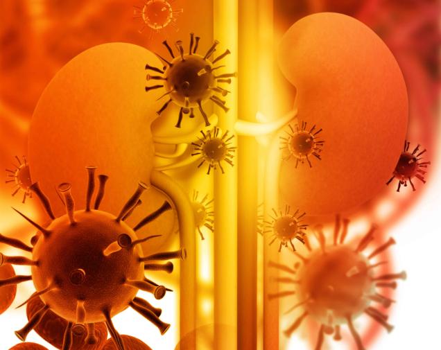 「贫血」封面 肾脏受损后，身体有4个不适表现，可能是肾脏发出的求救信号