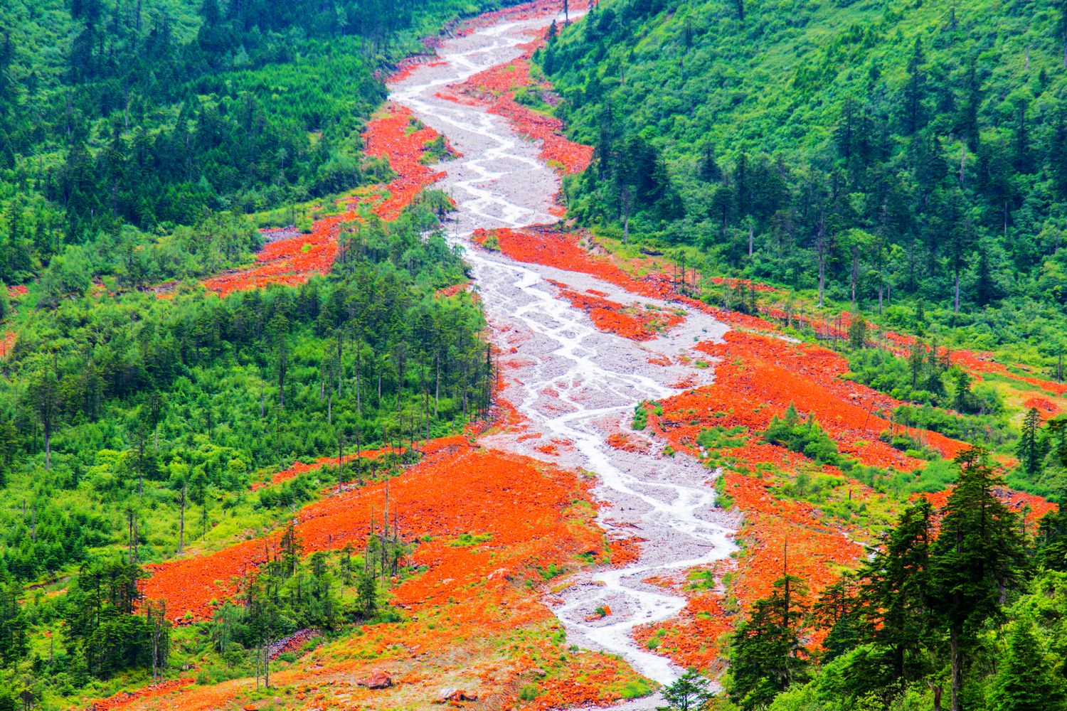 海螺沟：醉美川西！康定至海螺沟赏瀑布遗憾没能见着贡嘎雪山