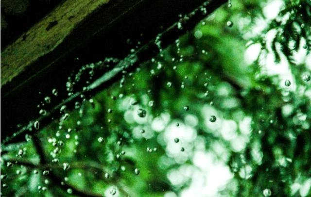 科学家|为什么人在下雨天睡得很香？科学家说出答案，网友：大自然真奇妙