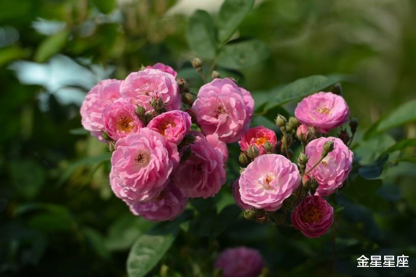 『生肖』最近七天咸鱼翻身，3生肖贵人提携，财运突飞猛进