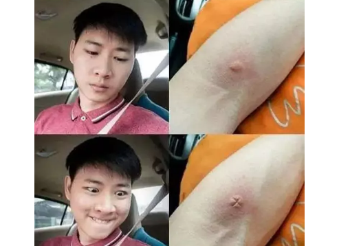 肥牛|“夏天哪种饮料让你喝一口就感觉回本了？”还是熟悉的配方，哈哈