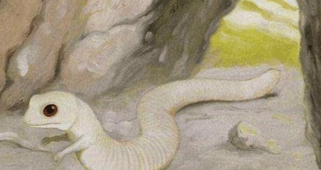 「科学家」历史当中最为神秘的生物, 它的存在连科学家都无迹可寻