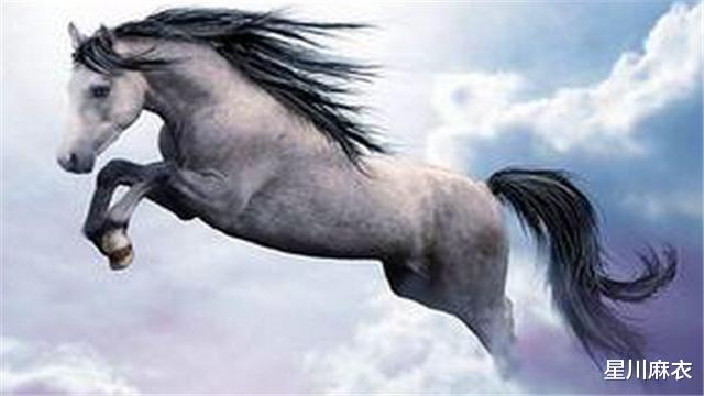 『霉运』赶走霉运,6月8日开始,3生肖解决困境,财运上上签,生活变得富足