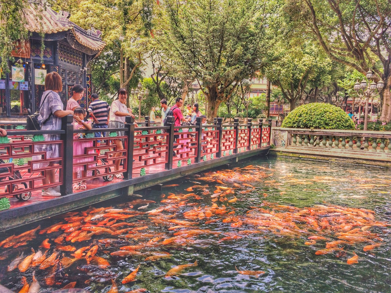 GDP 面积不足新疆1/9大的省：GDP却超越澳大利亚，全球仅12国比这强