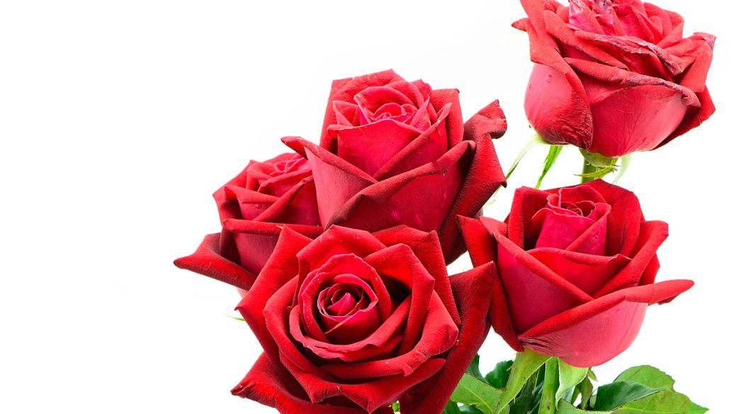 残疾人|摆渡:互联网人的解忧密码