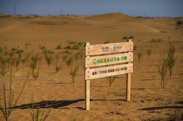 [伊隆·马斯克]“蚂蚁森林”VS“火星绿洲”，马云与马斯克的巅峰对决！