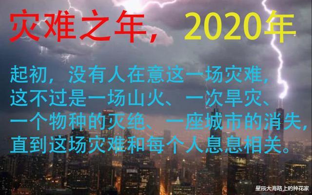 『哺乳动物』2020年世界各地都频繁出现UFO，这是什么预兆？