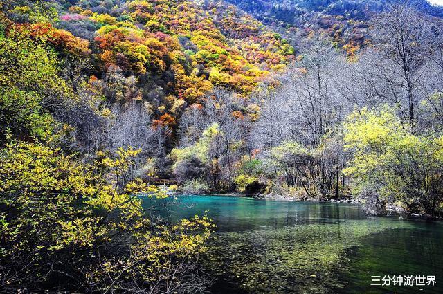 「四川省」四川新添一条“网红沟”,景色堪比九寨沟,老成都人也爱去