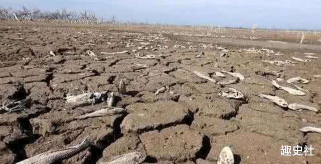 西汉|宁愿啃树皮不捕鱼！古人闹饥荒为啥不吃鱼？难道没鱼？还是不能吃