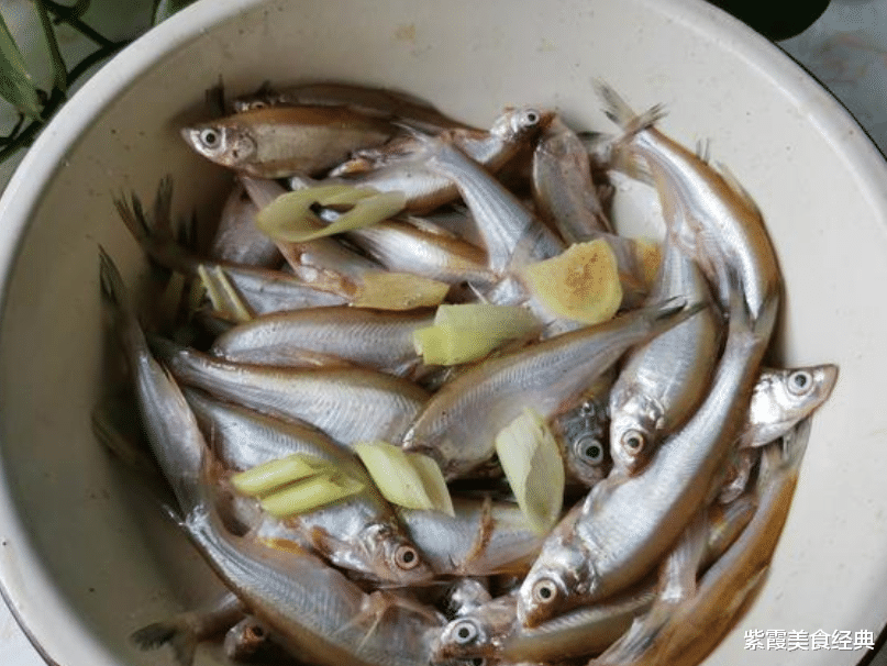 饵料|新捕捞的小鱼不必炖，这才是最美味做法，搭配啤酒一口一个真过瘾