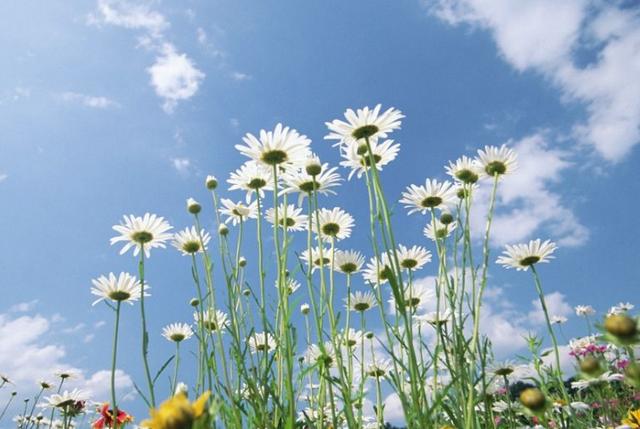 天蝎座|热恋时最让伴侣离不开的4个星座,如胶似漆的爱情美妙又甜蜜