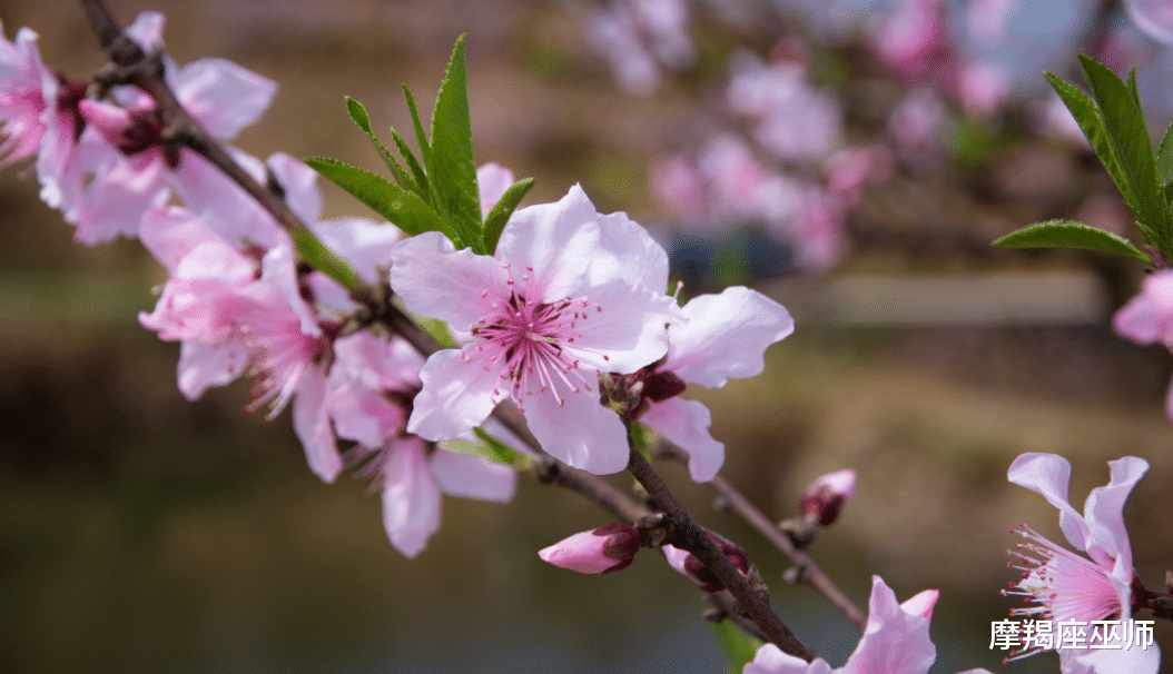 |11月，旧情人忏悔，真诚回头，前任心肠变软，勇敢为情再爱一场
