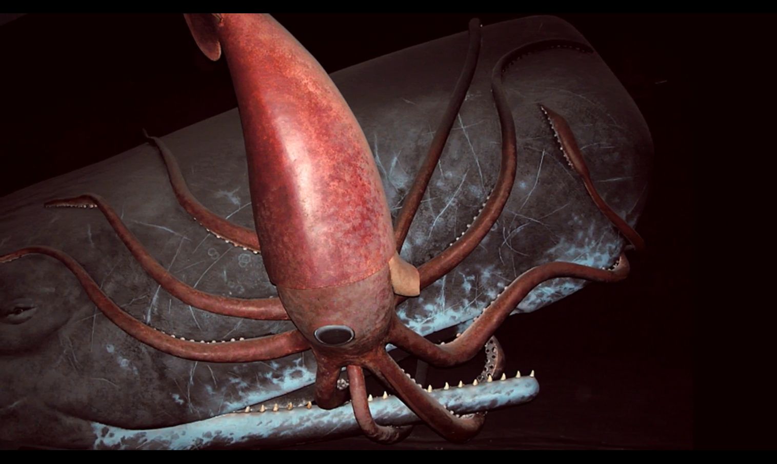 海洋生物|大海究竟有多深?看完这些你可能也会得深海恐惧症