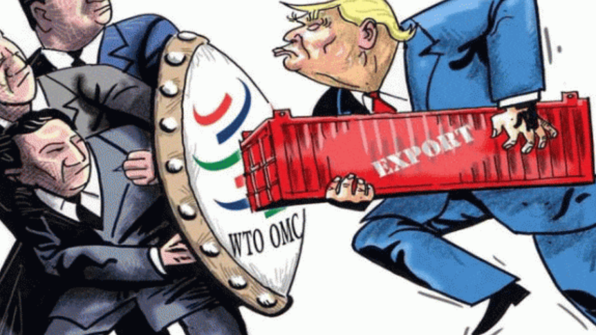 【美国】支持中方加入！数十国一致对美，一个国际“新组织”即将问世