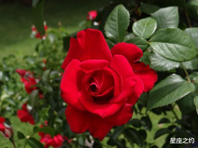 天蝎座|8.1-31星座运势：双子鼓足勇气，天蝎灵活变通，双鱼思维活跃