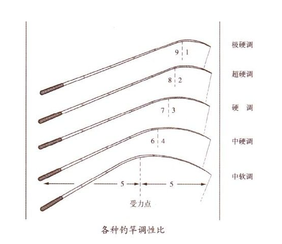 []想要钓好鱼，就要会选竿，如何选择一款合适的鱼竿呢？