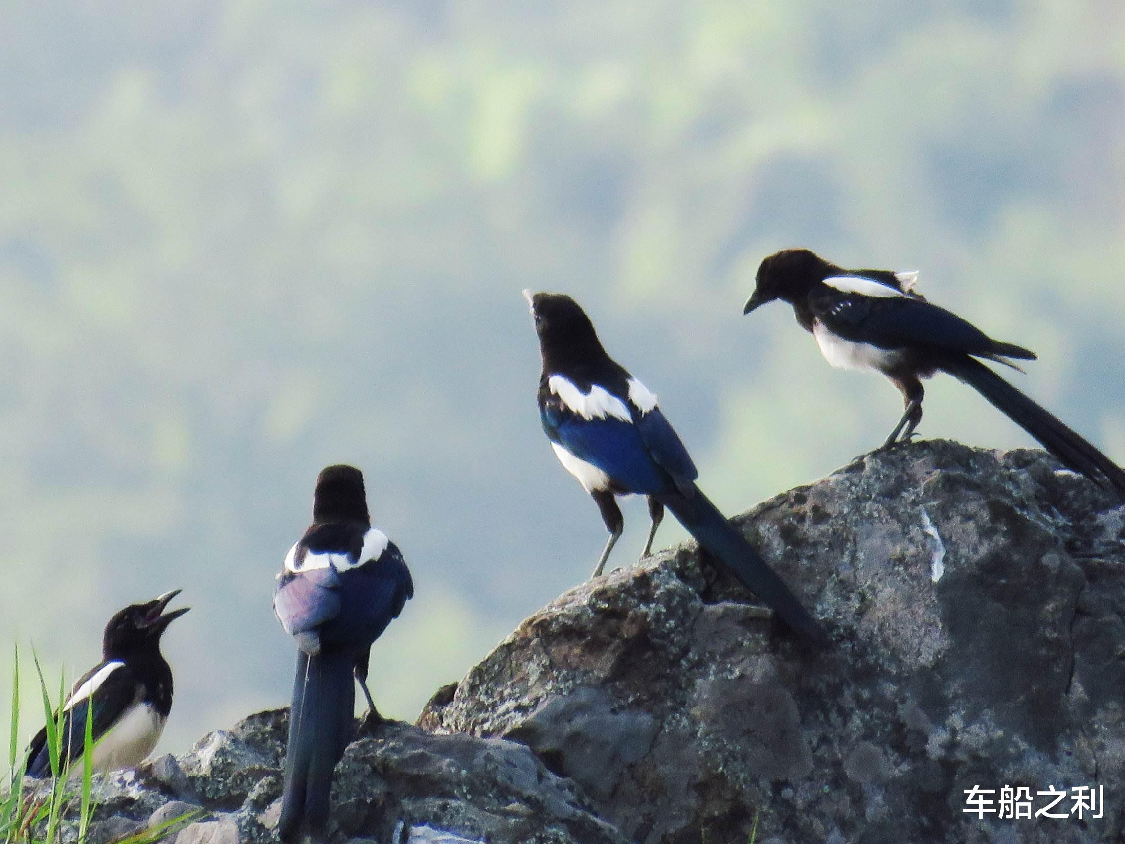 『运势』6月23号,运势走红,天赐福禄的3大生肖,赚钱更,发家致富