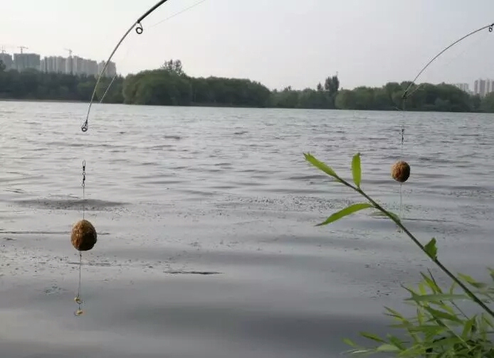 ：钓鱼十句话。句句在里，占三项以上就是老司机