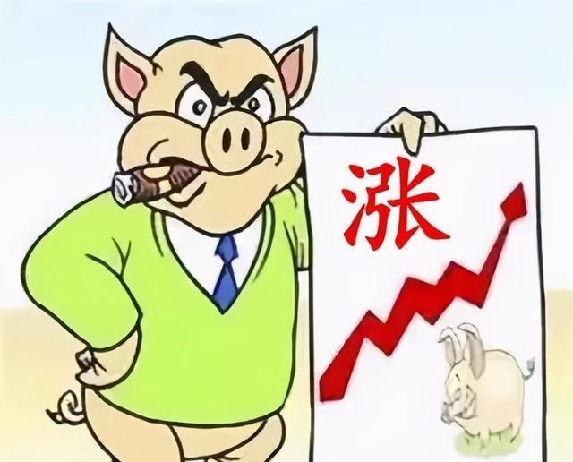 美国联邦储备系统|猪价“大涨”啥原因？又要吃高价猪肉吗？附：11月3日猪肉价格