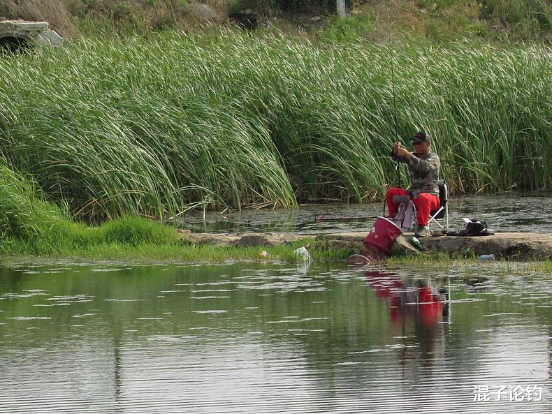 『』钓黄颡鱼其实超简单，做好这四点，轻松钓一盆