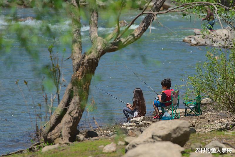 |秋季自然水域鱼情好，野钓为什么频频跑鱼呢？老钓友来告诉你原因