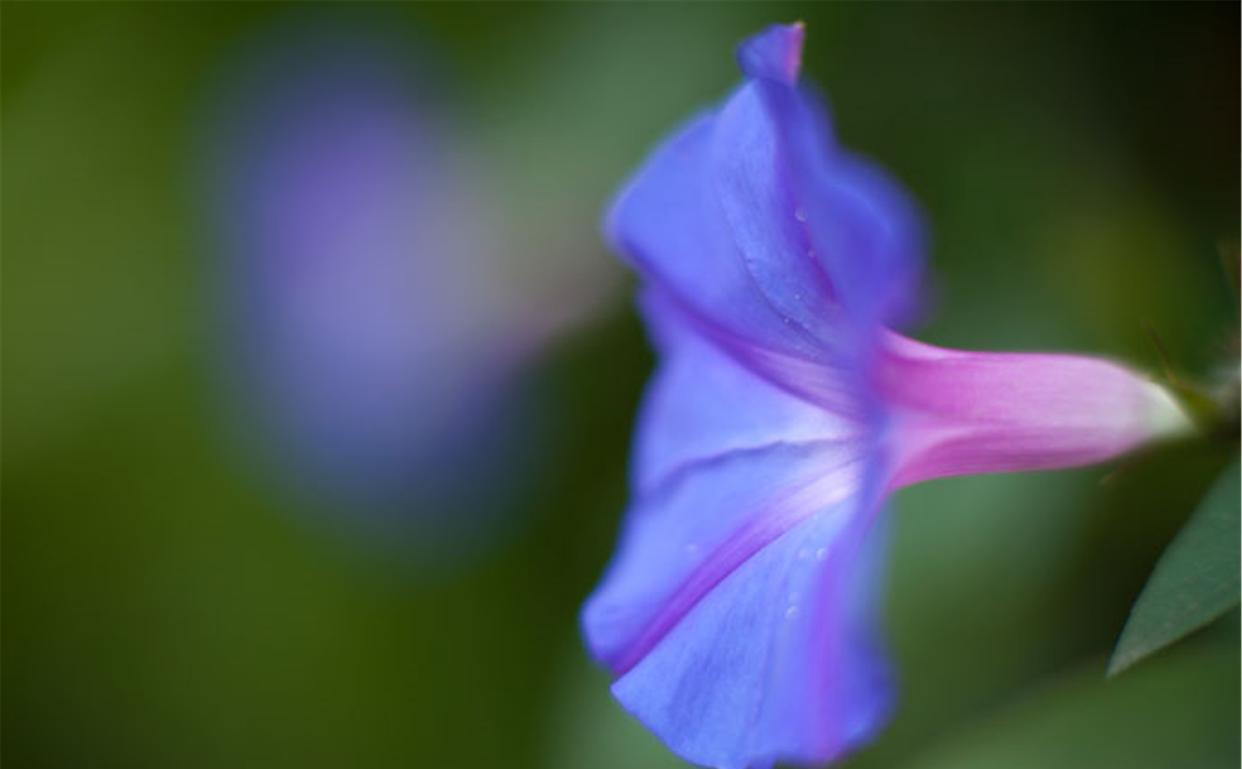 「双子座」7月非卿永不娶，旧爱在心终难忘，一生爱你一生陪的3个星座