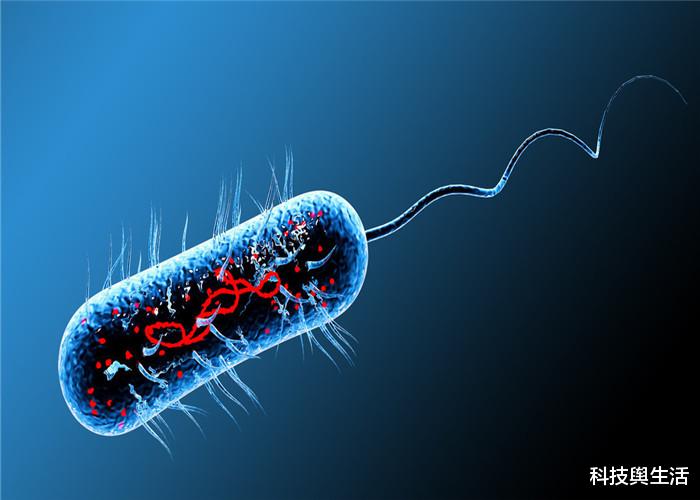 「科学家」那个为自己注射细菌的科学家，后来怎么样了？原来他被自己骗了！
