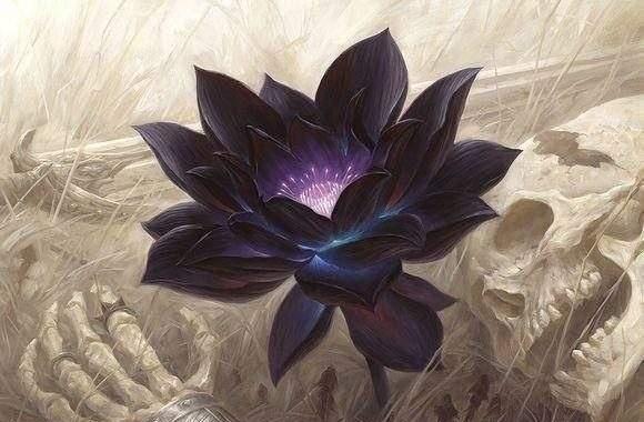 『灭世』四朵远古神莲，第三无天黑莲，第一不为天地所容，化成三教至宝！