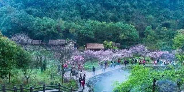 重庆|中国新一线大城市，比北京整整大5倍，未来有望超越香港