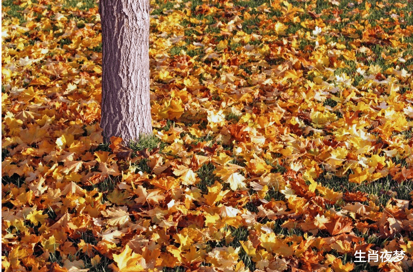 ▲5月贵人来祝，1喜有大财，2喜桃花来，3喜有福报的三大生肖