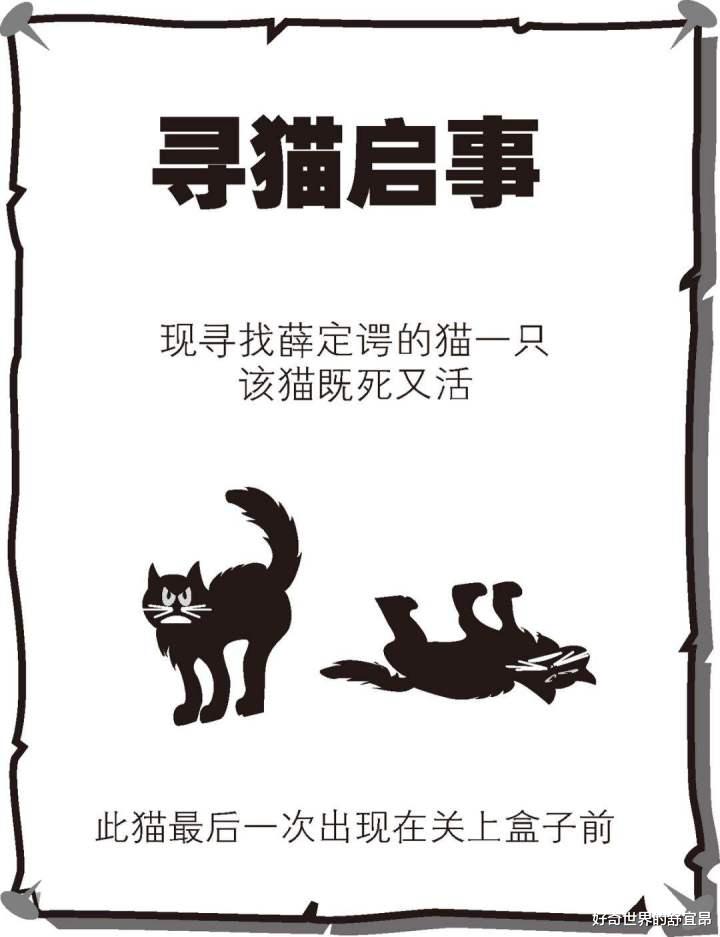 |薛定谔的猫：科学界最出名的猫，凭一猫之力解释量子力学！