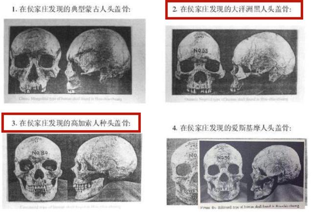 妇好：殷墟出土大量黑人头骨，学者研究完感慨：妇好拯救了中华民族