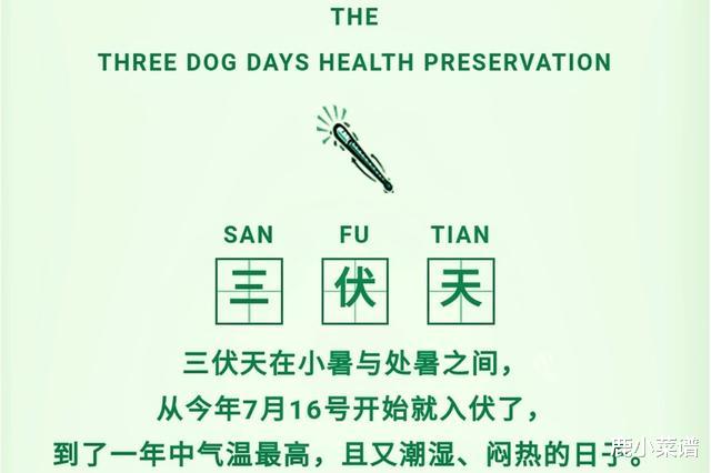 三伏天|三伏天，别忘吃这“4宝”，清热解暑营养足，度过苦夏更轻松