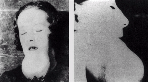 世界史|世界历史上著名的三大发明，本意都是造福人类，却祸害了人类百年