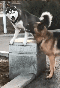 |“给网恋对象发了张美甲的照片，他就把我拉黑了？！”哈哈哈