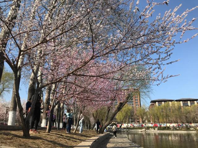 北京市@别白跑一趟！北京哪些景区开放了？这份指南请收好！