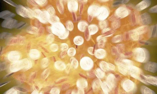 TCL|人民币对美元汇率涨破6.81！高善文：跌到底了将长期升值