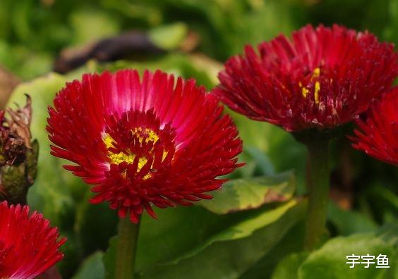 运势|从9月开始，4属相紫气傍身，接住好运，财富翻番涨，越过越红火