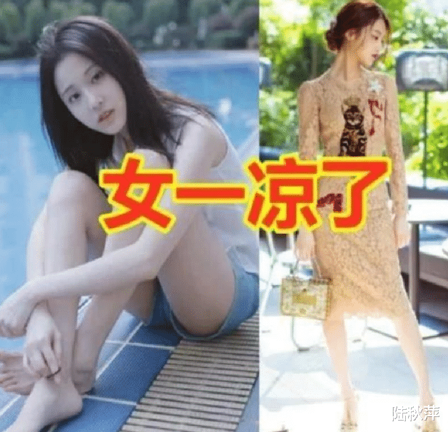 何炅■何炅一手捧红的“四小天鹅”，如今三个被遗忘，最不被好看的她却火了