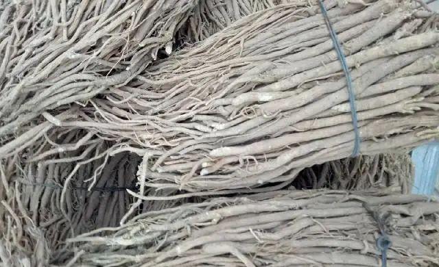 【中药材】「快讯」会川中药材市场行情一览