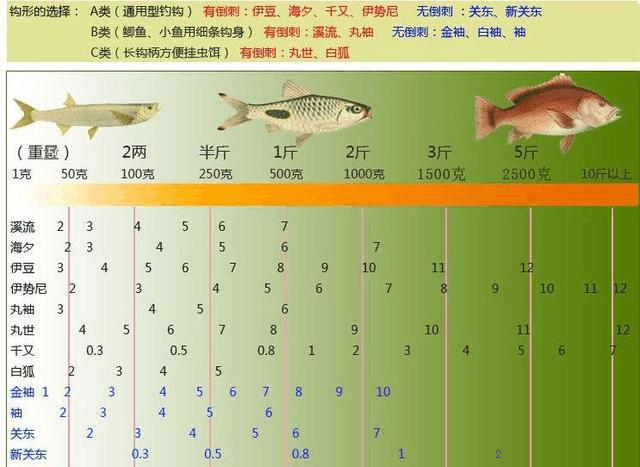 「」新手钓鱼该做哪些准备？史上最精辟的钓鱼技巧，从入门变精通