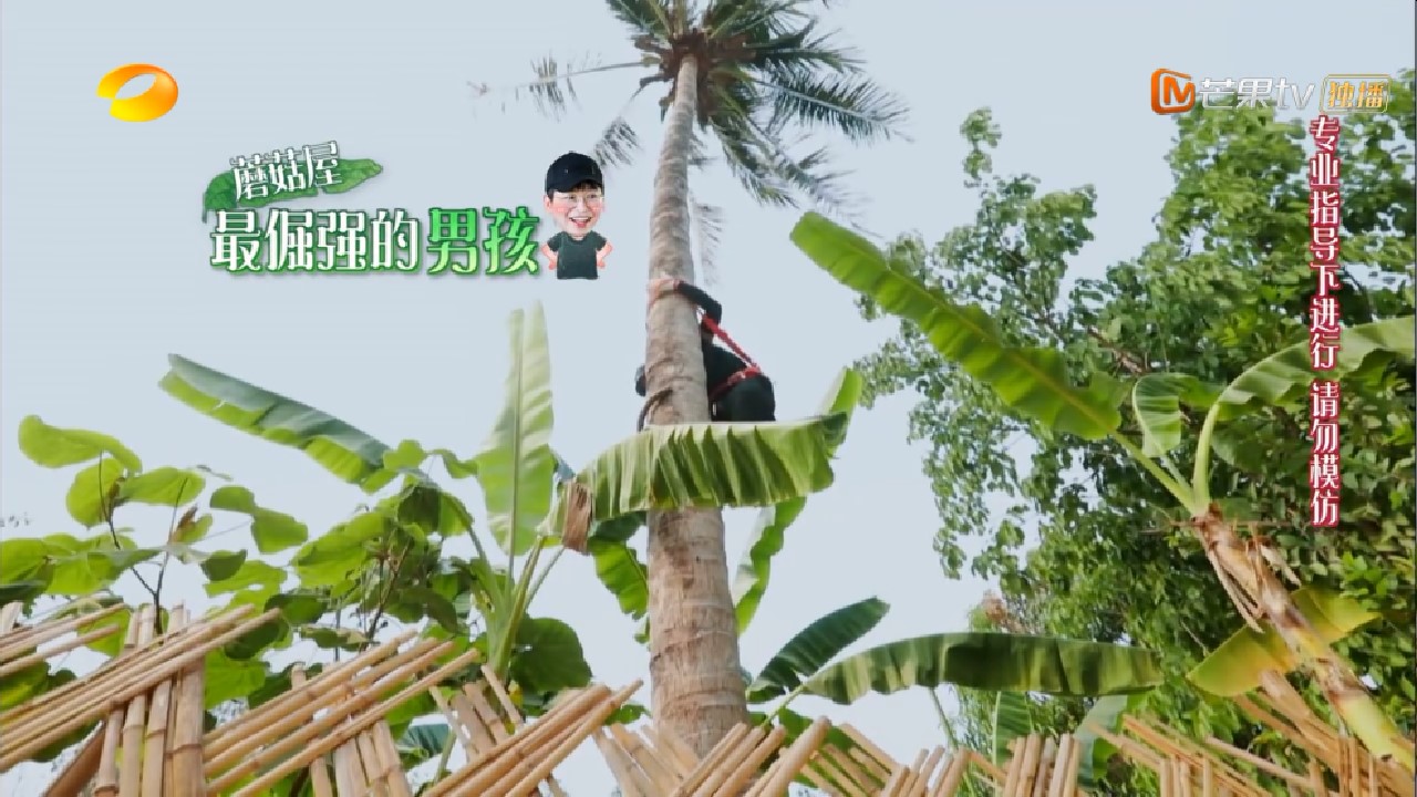 『黄磊』彭昱畅有眼力见儿，陶虹改变对他的看法，只是脾气太倔只有黄磊能治