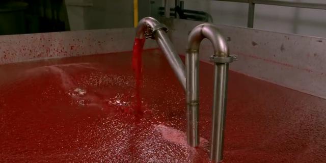 『』国人把它当观赏植物，任其枯萎烂掉，国外人却当成美食！