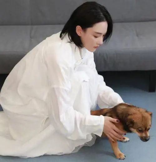 张馨予|张馨予惊艳金鸡奖，搭档华少跨界做主持，结婚2年像变了一个人